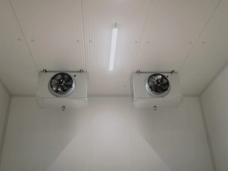 Two evaporator fan units on the ceiling of a cold room